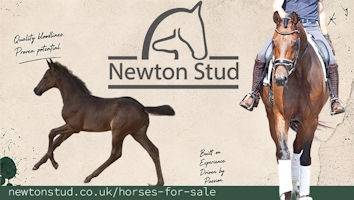 Newton Stud (Elite)<span class="sr-only">; opens in a new window </span>