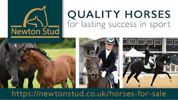Newton Stud (Elite)<span class="sr-only">; opens in a new window </span>