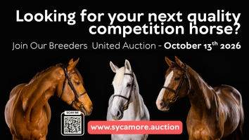 Sycamore Stables Auction - October<span class="sr-only">; opens in a new window </span>