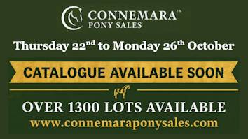 Connemara Sale October<span class="sr-only">; opens in a new window </span>